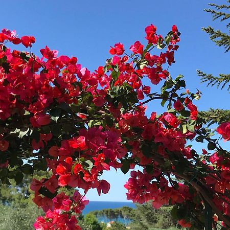 Camping Villaggio Internazionale San Menaio Bagian luar foto