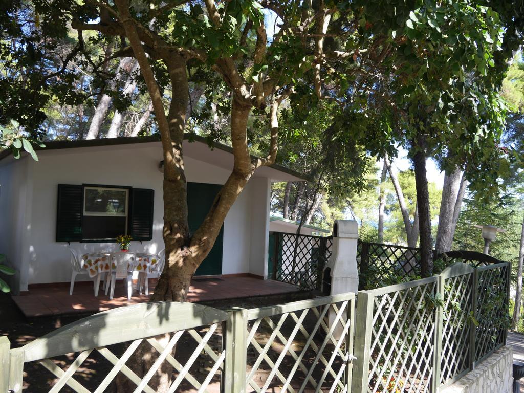 Camping Villaggio Internazionale San Menaio Ruang foto