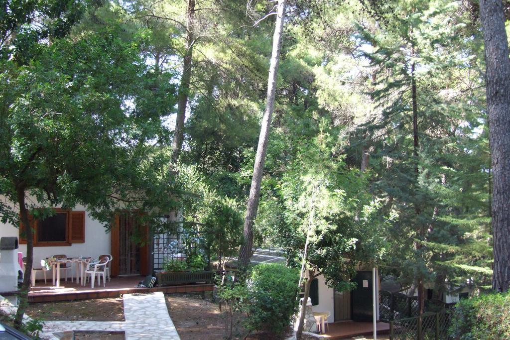 Camping Villaggio Internazionale San Menaio Ruang foto